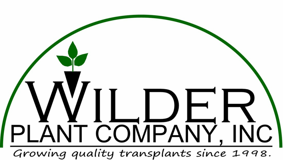 Wilder Plant Company - Growing Quality Transplants since 1998